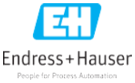 Endress+Hauser